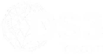 DS3 -Telecom